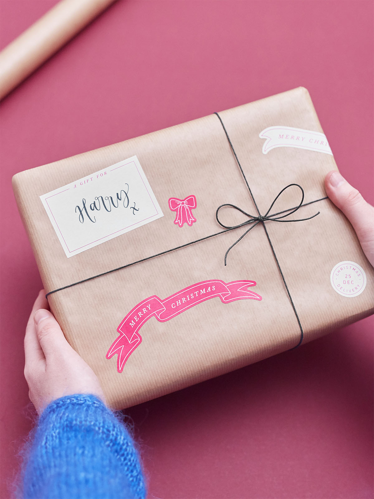 SSF Christmas Wrap Sticker Pack